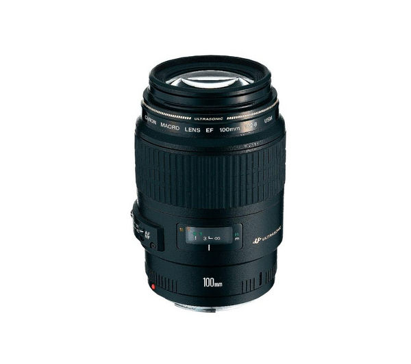 Canon EF 100 mm f/2.8 USM Macro Lens Reviews